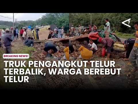 Egg Truck Overturns, Residents Scramble for Eggs