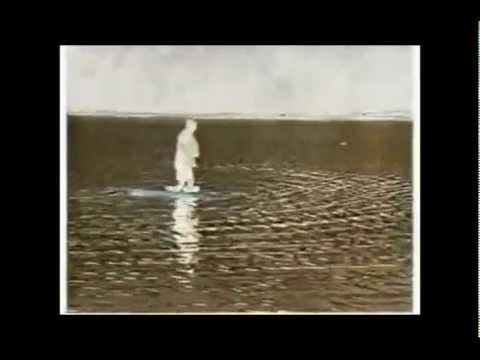 The Wild Swans ~ Whirlpool Heart