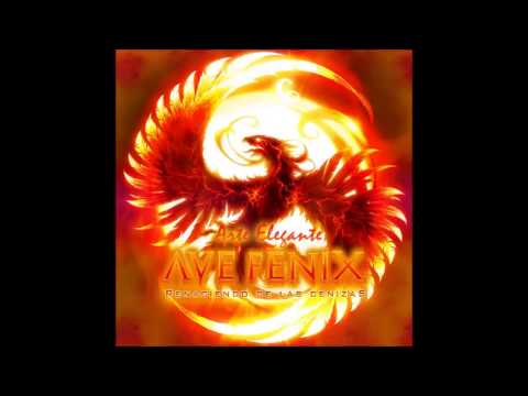 Arte Elegante - Ave Fenix - Reggaeton longi