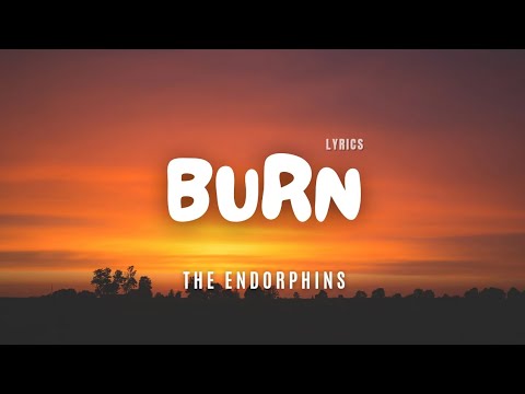 The Endorphins - Burn - Lyric Video