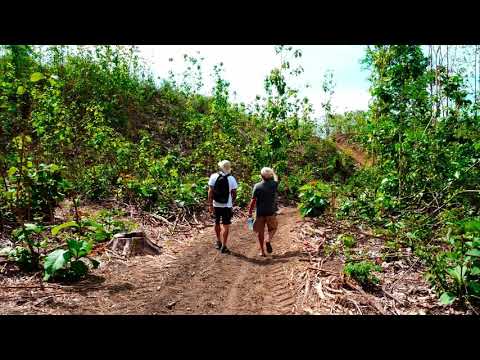 The Sacred Playground: Ep.1 - Honouring & harvesting Teak tree