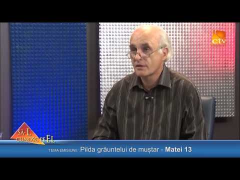 208. Zaharia Bica - Pilda grauntelui de mustar