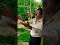 Matlab Nikal Gaya Hai To Pehchante Nahin Amaanat 1977 Songs Mohammed Rafi Manoj Kumar Sadhana
