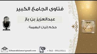 حكم إتيان البهيمة - بن باز - مشروع كبار العلماء image