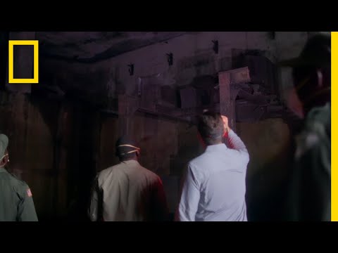 蝙蝠是如何傳播病毒的？ (How Bats Can Transmit Viruses | Virus Hunters)