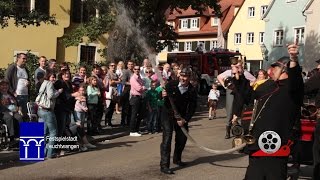 preview picture of video 'Mooswiesenfestzug Feuchtwangen 2014 - Mooswiese'