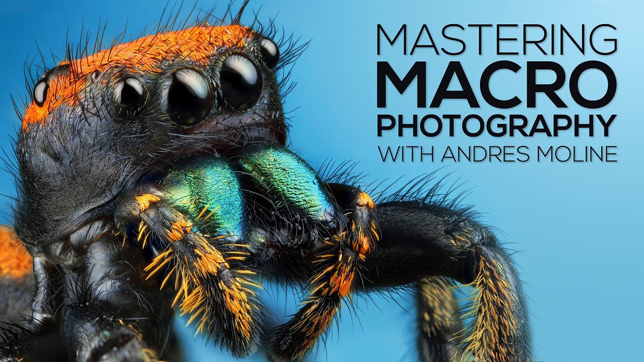  mastering macro photography by fstoppers