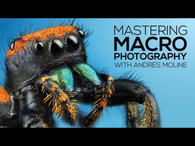  mastering macro photography by fstoppers