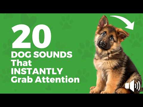 20 DOG SOUNDS That INSTANTLY Grab Attention 🐶