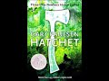 Hatchet - Chapter 7