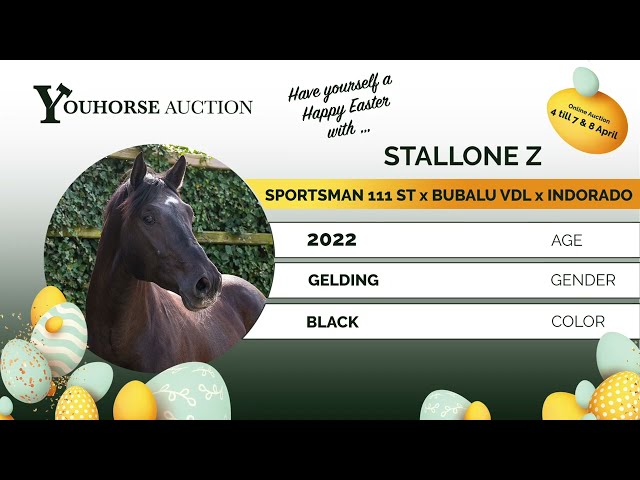 Stallone loose jumping @ home