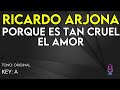 Ricardo Arjona Porque Es Tan Cruel El Amor Karaoke Instrumental