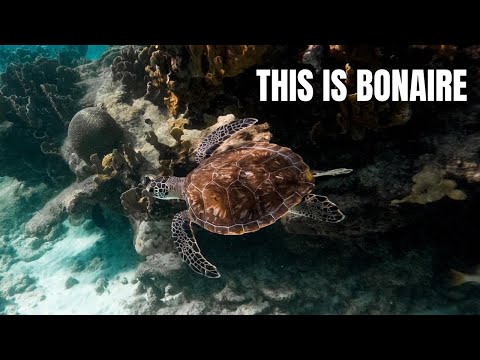 This is Bonaire