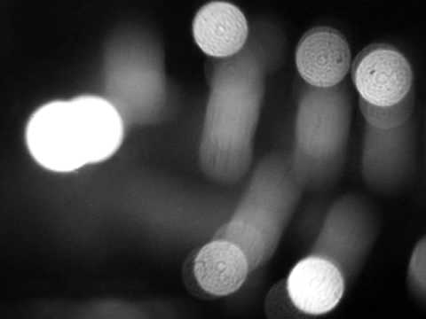 Tuuli ja Teet Velling - "My Funny Valentine"