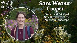 From Lawn to Meadow with Sara Weaner Cooper