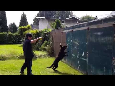 Bazooka von Pike´s Spirit - Push