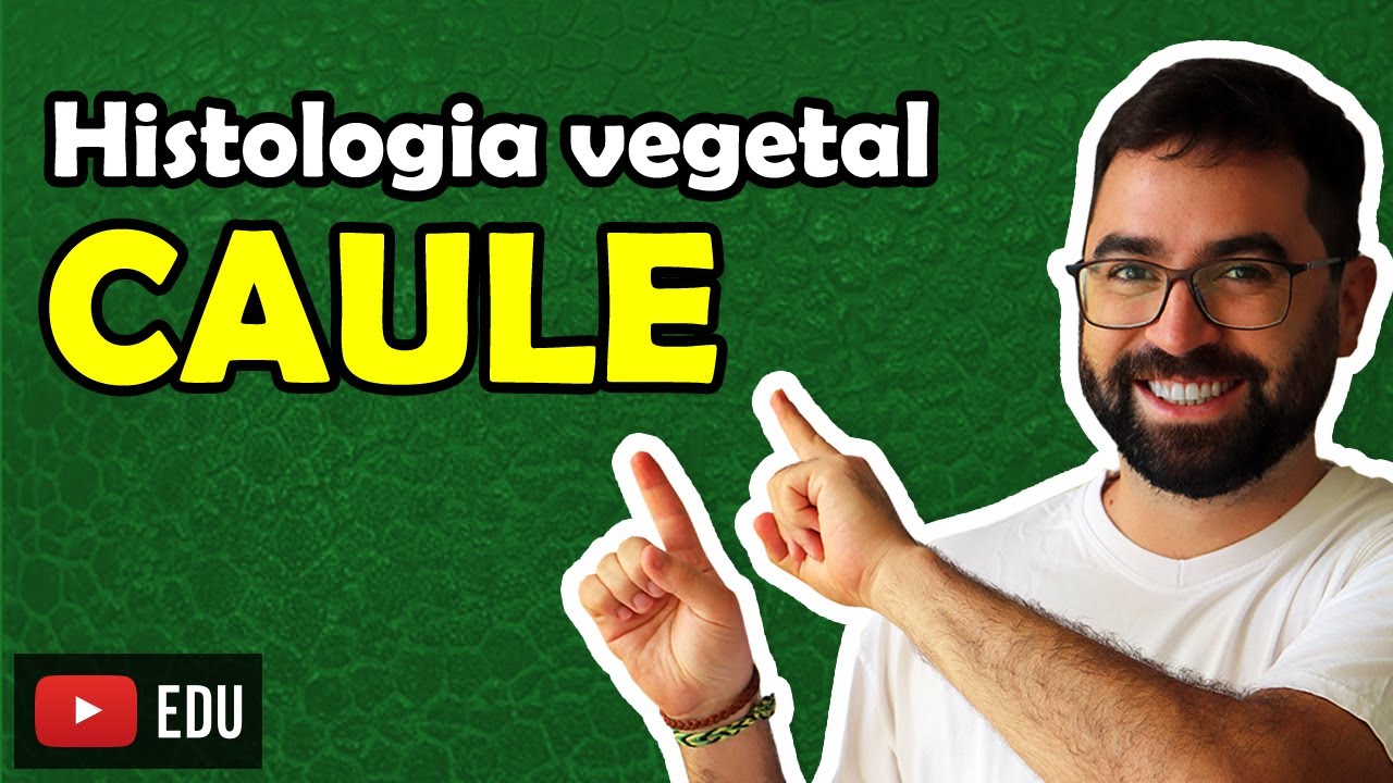 Histologia do Caule - Aula 09 - Módulo V: Botânica | Prof. Guilherme