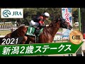 2021年 新潟2歳ステークス（gⅢ） セリフォス jra公式