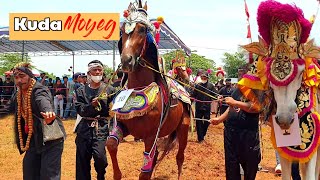 Download lagu KUDA RENGGONG | BUBUKA KUDA MOYEG | Mjk mp3