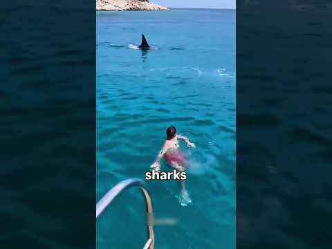 Siyah Lekenin İçine Atladı… Az Kalsın Ölüyor 😱🦈 #shorts #viralvideo #trending #shortsfeed