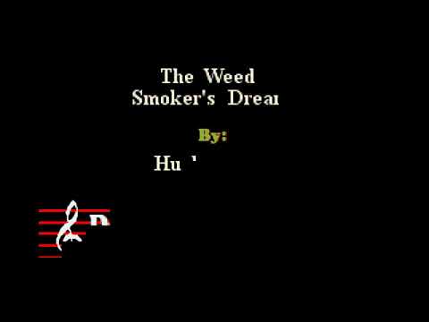 Hugh Laurie - The Weed Smoker's Dream (Custom Karaoke Cover)