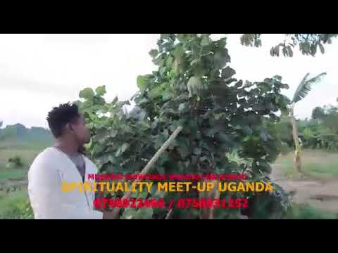 NDAHURA OBA MUYITE KABAKA NDAWULA