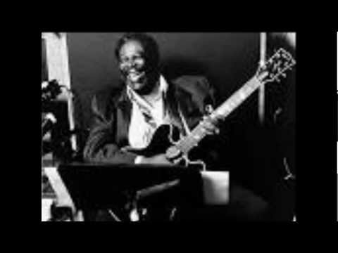 Thumbnail for B.B. King at the Schaefer Music Festival in Central Park, N.Y. 1972 Part 1. by Floyd Newman