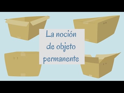 La noción de objeto permanente de Piaget