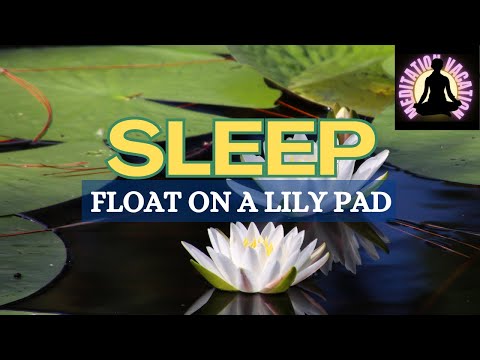 Guided Meditation For Deep Sleep - The Lilly pad