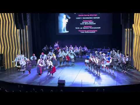 Srpski Centar Stuttgart 18.05.2024 - Sabor u leskovačkoj moravi