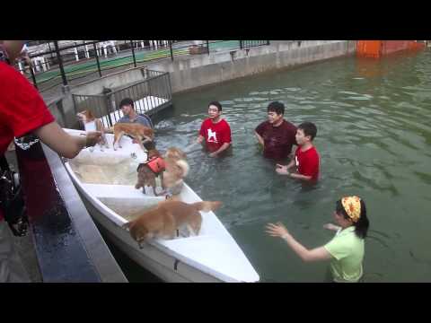 試PO 妙狗柴柴泳聚 逃獄記(原發表者:g8wong麻)(影片)