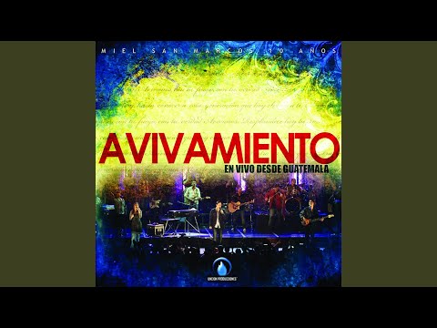 Musica del Cielo - Miel San Marcos