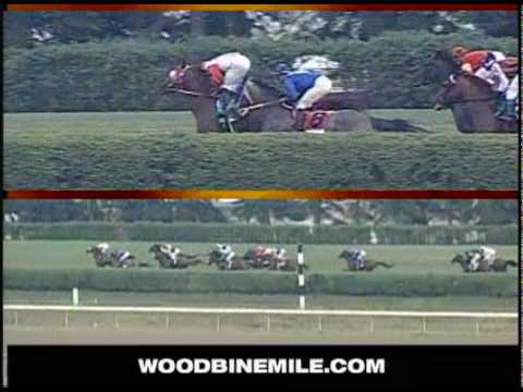 2003 WOODBINE MILE