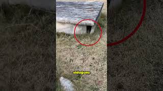 Download lagu Büyükannesinin Mezarı Şok Edici Bir Sır Saklıyor 😱 mp3 Download lagu Büyükannesinin Mezarı Şok Edici Bir Sır Saklıyor 😱 mp3