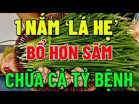 Chỉ 1 NẮM LÁ HẸ Dùng Theo Cách Này TỐT GẤP VẠN LẦN NHÂN SÂM, SỐNG RẤT THỌ, Về Già Phải Biết