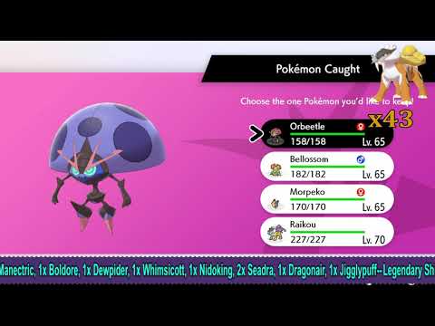 SHINY G-MAX ORBEETLE!!! *Live Reaction*