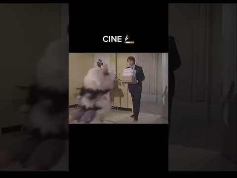 El primer perro de la historia del cine tuvo tanto éxito que rompieron el negativo tratando de hacer copias sin parar y tomaron una decisión inédita