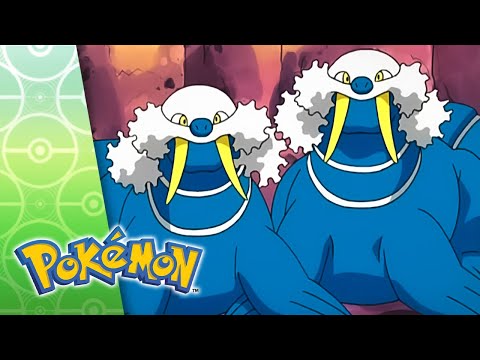 Fight for the Meteorite | POKÉMON FULL EPISODE 14 | Season 7