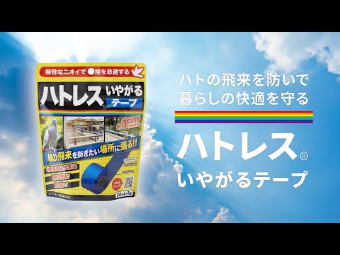 ハトを永久に遠ざけるにはどうすればいいですか？本当に役立つヒントとコツ  庭園