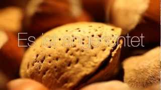 LAUSCHKOST //2 Snippet - Lounge serviert von Vargo