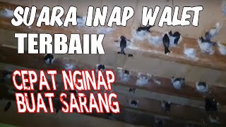 Download lagu SUARA WALET INAP AKAU 22 MERUPAKAN RAJA PIKAT WALET TERBAIK #SuaraWalet #SuaraInapWaletTerbaik mp3 Download lagu SUARA WALET INAP AKAU 22 MERUPAKAN RAJA PIKAT WALET TERBAIK #SuaraWalet #SuaraInapWaletTerbaik mp3