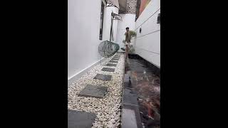 Download lagu MITAYANG MANUKKE ANYAR NEH JIII 😘😍‼️ mp3