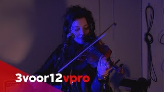 Holy Moly &amp; The Crackers - Live at 3voor12 Radio