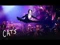 Mr Mistoffelees Part 2 | Cats the Musical