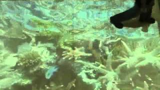 Interactive Projection System in Shopping Mall. Interactive Sealife with Water Ripple.