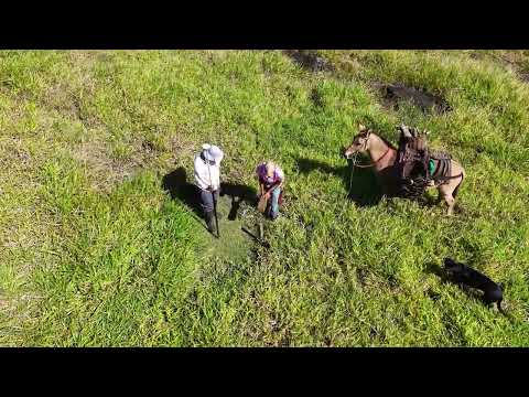 Mais um dia no campo: dividindo a pastagem para melhorar o manejo