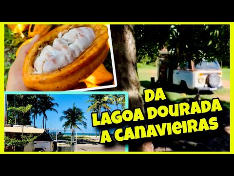 Da lagoa dourada Canavieiras-Bahia Ep. 95