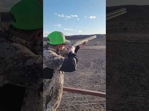 Ergonomics of Browning Cynergy