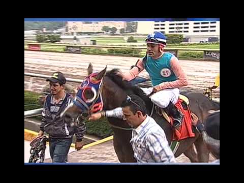 Carrera 2 Domingo 26 de Junio de 2016 | Futurity Garañones 2016 | Futurity Garañones 2016