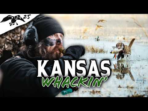 JASE FOUND the DUCKS // WHACKIN' and STACKIN' on MALLARDS // Duck Commander 2025